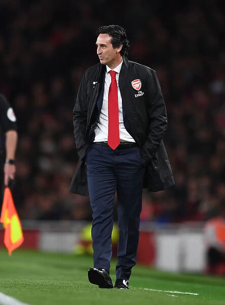 Unai Emery Leads Arsenal Against Leicester City in Premier League Clash (2018-19)