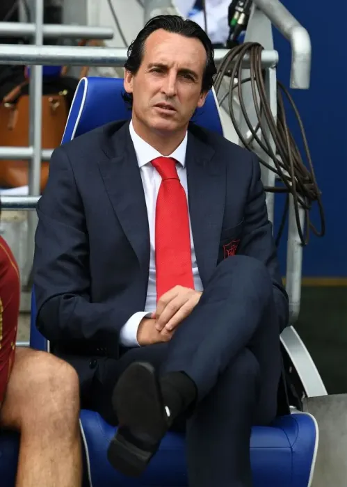 Framed Print : Unai Emery Leads Arsenal in Premier League Battle against Cardiff City (2018-19) Framed Print : Unai Emery Leads Arsenal in Premier League Battle against Cardiff City (2018-19)