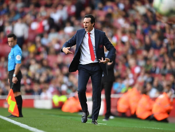 Unai Emery Leads Arsenal Against Watford in Premier League Clash (2018-19)