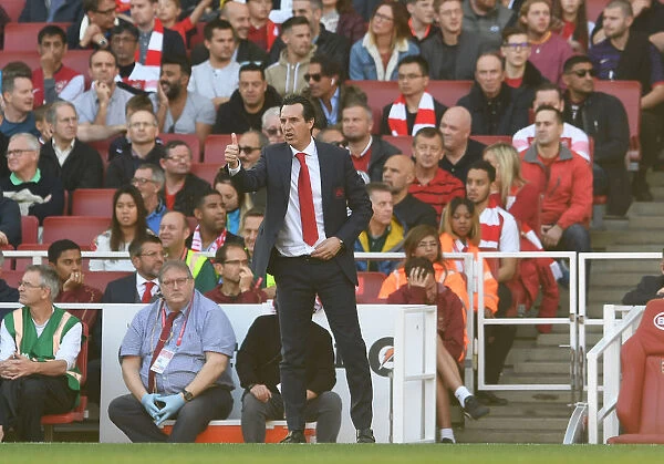 Unai Emery Leads Arsenal Against Watford in Premier League Showdown (2018-19)