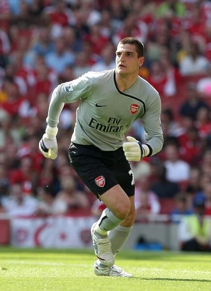 Vito Mannone's Victory: Arsenal's 4-1 Triumph Over Stoke City in the Barclays Premier League (May 2009)