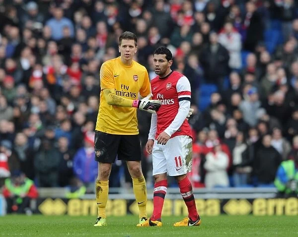 Wojciech Szczesny and Andre Santos (Arsenal). Brighton & Hove Albion 2:3 Arsenal
