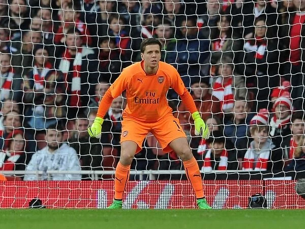 Wojciech Szczesny: Arsenal's FA Cup Hero vs. Middlesbrough (2015)