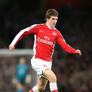 Aaron Ramsey Scores the Winning Goal: Arsenal's 2-0 Victory over Stoke City (Barclays Premier League, 2009-10)