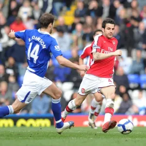 Abou Diaby (Arsenal) Roger Johnson (Birmingham). Birmingham City 1: 1 Arsenal