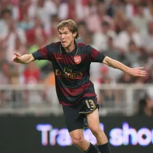 Alex Hleb's Stunner Print - Arsenal 1-0 Ajax, ArenA Amsterdam April 8, 2007