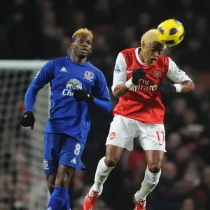 Alex Song (Arsenal) Louis Saha (Everton). Arsenal 2: 1 Everton, Barclays Premier League Alex Song (Arsenal) Louis Saha (Everton). Arsenal 2: 1 Everton, Barclays Premier League