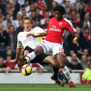 Alex Song (Arsenal) Peter Crouch (Tottenham)