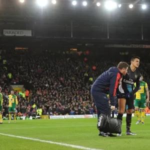 Alexis Sanchez's Premature Exit: A Dramatic Moment from Arsenal's Match against Norwich City, 2015 Alexis Sanchez's Premature Exit: A Dramatic Moment from Arsenal's Match against Norwich City, 2015