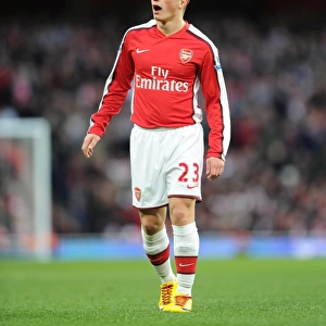 Andrey Arshavin (Arsenal). Arsenal 2: 0 West Ham United, Barclays Premeir League