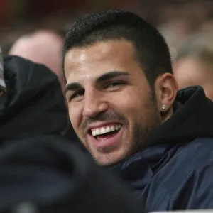 Arsenal captain Cesc Fabregas