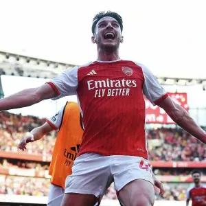 Arsenal Celebrate Second Goal Print
