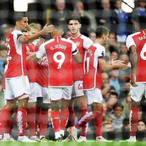 Arsenal Celebrate Leandro Trossard's Goal: Everton vs Arsenal, Premier League 2023-24