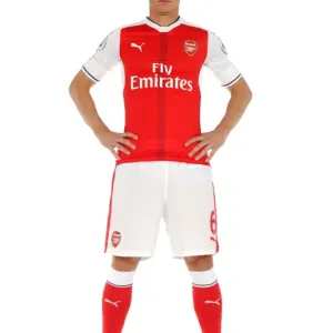 Arsenal FC: 2016-17 Squad Portrait - Laurent Koscielny Arsenal FC: 2016-17 Squad Portrait - Laurent Koscielny