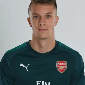 Arsenal FC - Die Saison 2017/18 - Das Team in einer Fotokalatur
