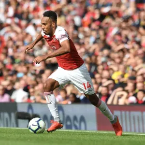 Arsenal FC Aubameyang Print Arsenal FC Aubameyang Print