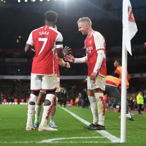 Arsenal FC Players Celebrating Goals Print