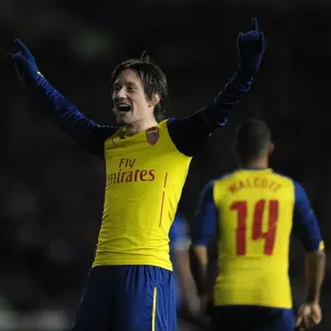 Arsenal FC Print - Tomas Rosicky Scores Against Brighton & Hove Albion
