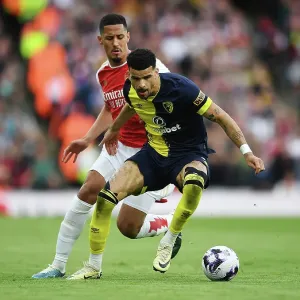 Arsenal FC v AFC Bournemouth - Premier League