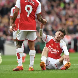 Arsenal FC v Aston Villa - Premier League