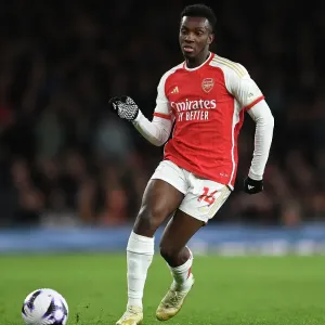 Arsenal FC v Luton Town - Premier League Arsenal FC v Luton Town - Premier League