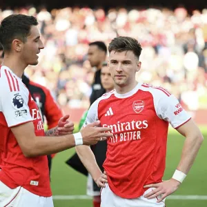 Arsenal FC v Newcastle United FC - Premier League Arsenal FC v Newcastle United FC - Premier League