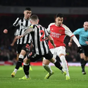 Arsenal FC v Newcastle United - Premier League