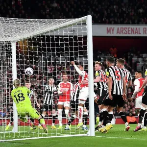 Arsenal FC v Newcastle United - Premier League