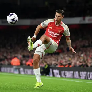 Arsenal FC v Newcastle United - Premier League