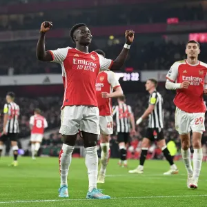 Arsenal FC v Newcastle United - Premier League
