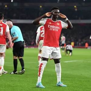 Arsenal FC v Newcastle United - Premier League