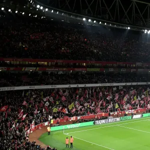 Arsenal FC v Newcastle United - Premier League