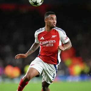 Arsenal FC v Paris Saint-Germain - UEFA Champions League 2024/25 League Phase MD2