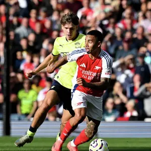 Arsenal FC v Southampton FC - Premier League Arsenal FC v Southampton FC - Premier League