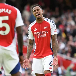 Arsenal FC v Southampton FC - Premier League Arsenal FC v Southampton FC - Premier League