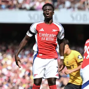 Arsenal FC v Wolverhampton Wanderers FC - Premier League Arsenal FC v Wolverhampton Wanderers FC - Premier League
