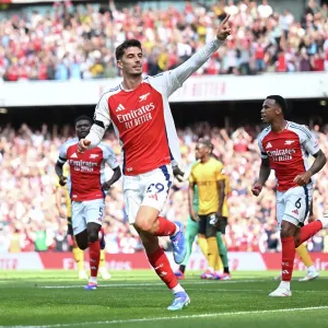 Arsenal FC v Wolverhampton Wanderers FC - Premier League Arsenal FC v Wolverhampton Wanderers FC - Premier League