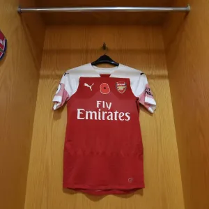 Arsenal FC v Wolverhampton Wanderers - Premier League
