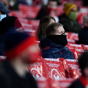 Arsenal FC vs Rapid Wien: A Passionate Arsenal Fan at Emirates Stadium, UEFA Europa League