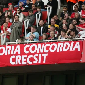 Arsenal flag in the stadium Arsenal flag in the stadium