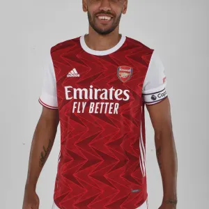 Arsenal Football Club 2020-21 First Team Print Arsenal Football Club 2020-21 First Team Print