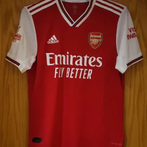 Arsenal Football Club: Preparing for Battle in the Emirates Cup 2019 Arsenal Football Club: Preparing for Battle in the Emirates Cup 2019