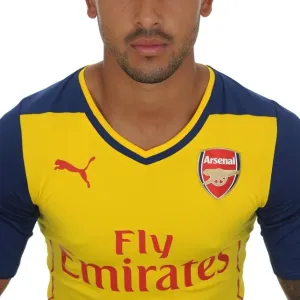 Arsenal Football Club: Theo Walcott at Emirates Stadium (2014/15)