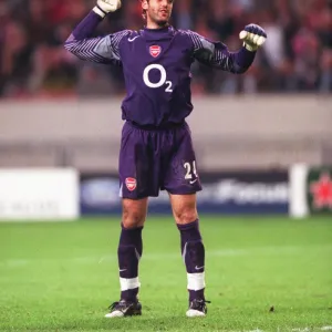 Arsenal goalkeeper Manuel Almunia celebrates after the match