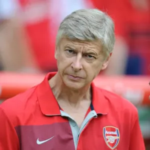 Arsenal at Hannover 96: 2009-10 Season Match