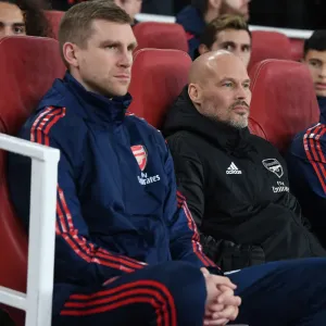 Arsenal Interim Coach Freddie Ljungberg with Per Mertesacker during Arsenal vs Brighton & Hove Albion, Premier League 2019-20