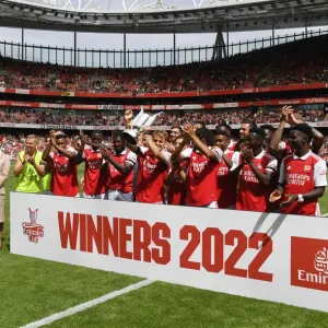 Arsenal Lift Emirates Cup Print Arsenal Lift Emirates Cup Print