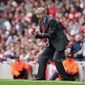 Arsenal Manager Arsene Wenger Print Arsenal Manager Arsene Wenger Print