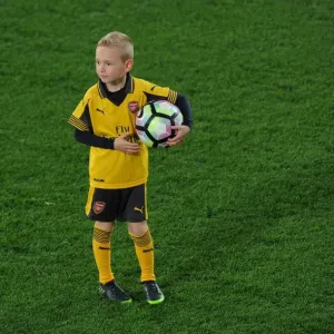 Arsenal mascot. Crystal Palace 3: 0 Arsenal. Premier League. Selhurst Park, 10 / 4 / 17