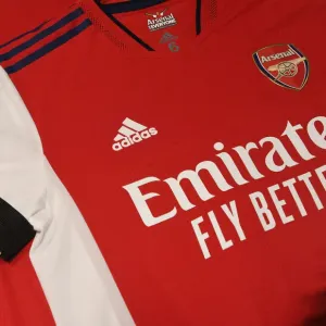 Arsenal Mourn Steve Rowley Print